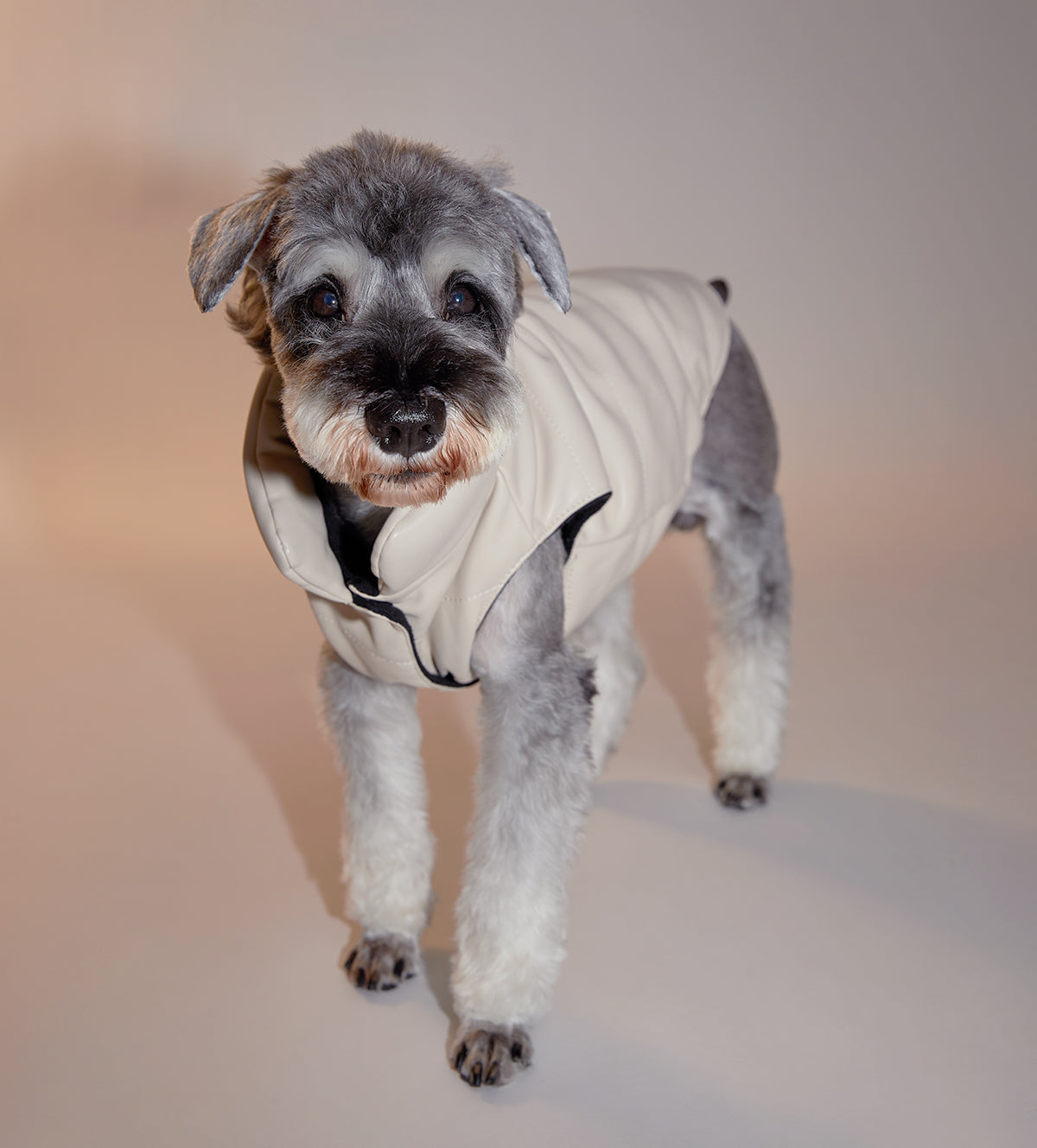 Sleeveless Leather Jacket