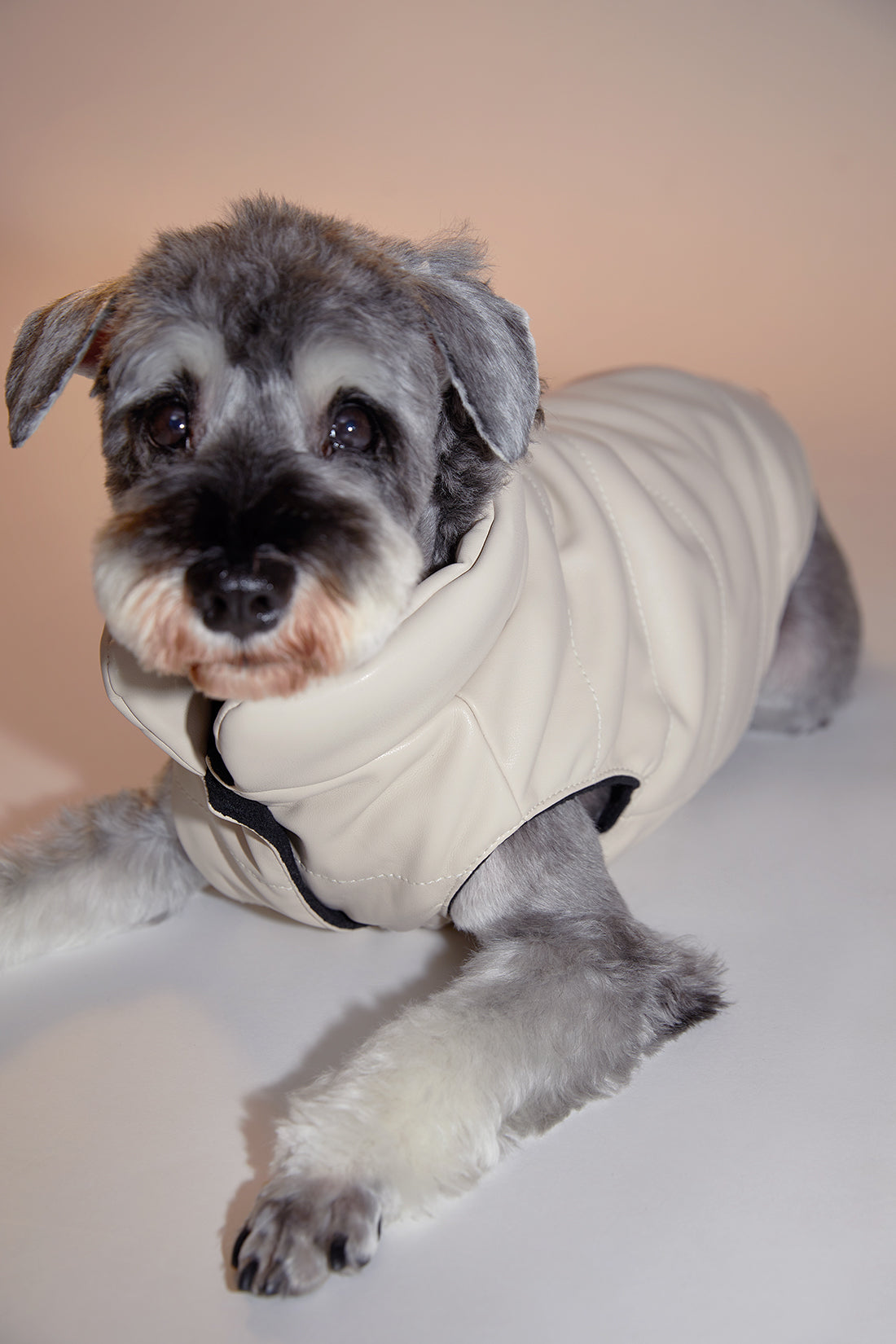 Sleeveless Leather Jacket